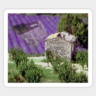 Little farmhouse in the provence, ruine. Sticker